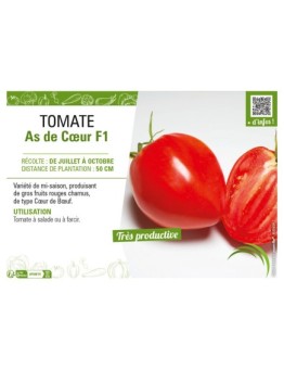 TOMATE AS DE CŒUR F1