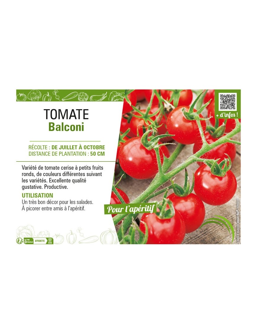TOMATE BALCONI