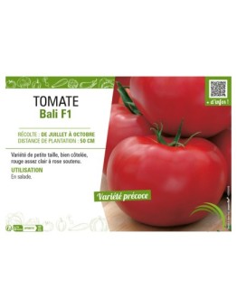 TOMATE BALI F1
