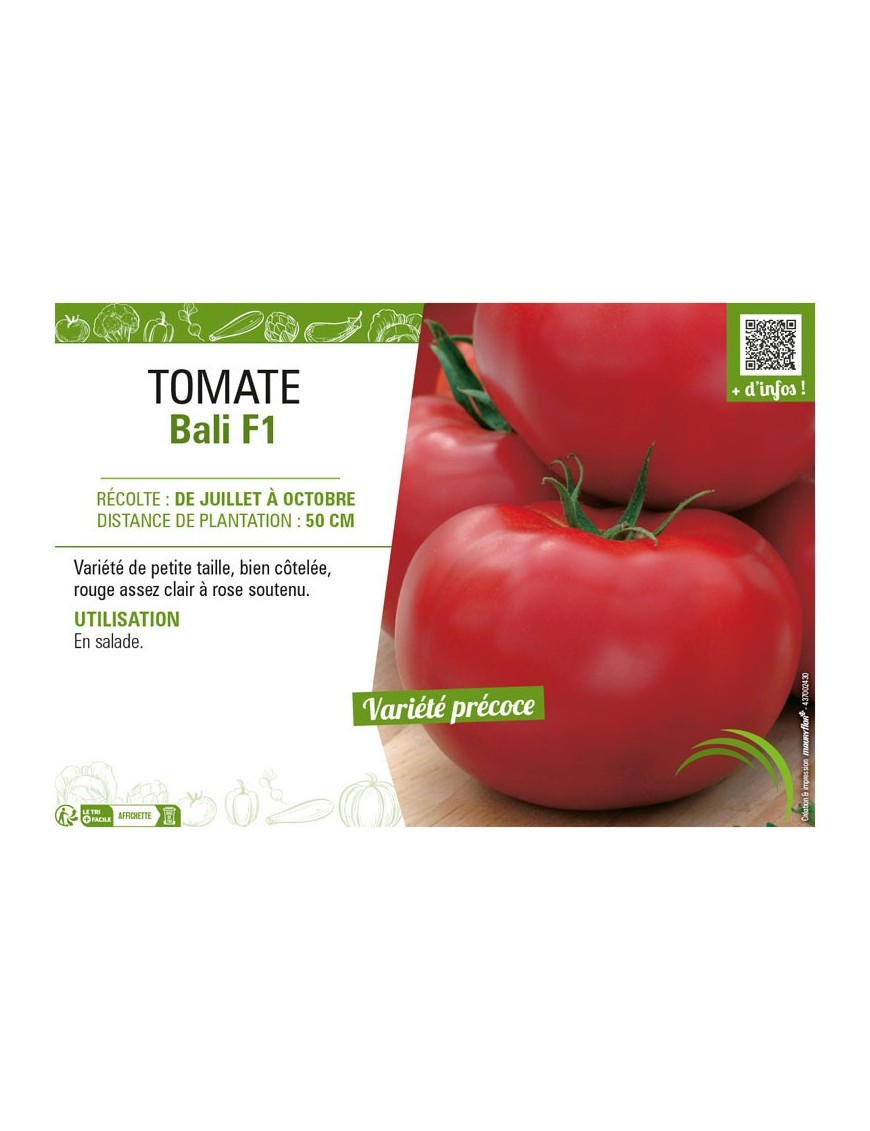 TOMATE BALI F1