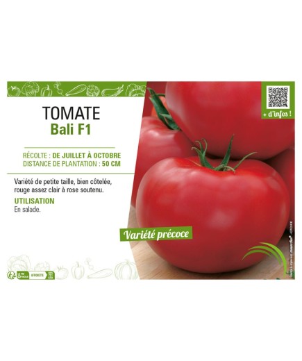 TOMATE BALI F1