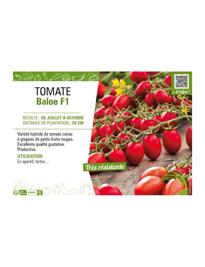 TOMATE BALOE F1