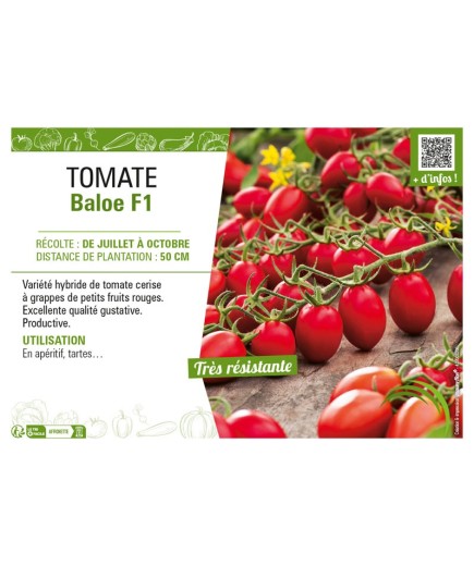 TOMATE BALOE F1
