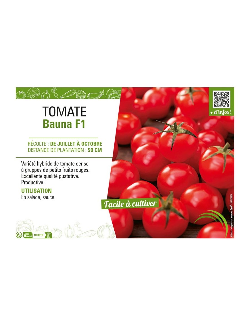 TOMATE BAUNA F1