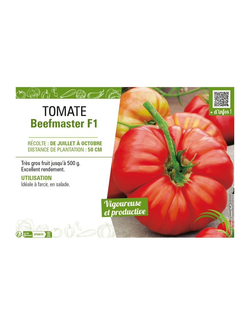 TOMATE BEEFMASTER F1
