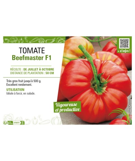 TOMATE BEEFMASTER F1