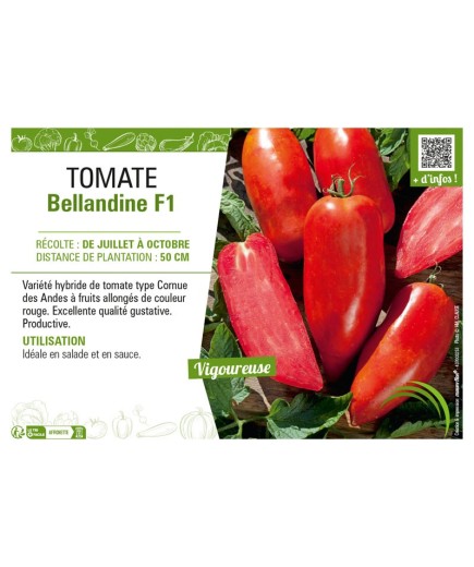 TOMATE BELLANDINE F1
