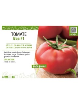 TOMATE BOA F1