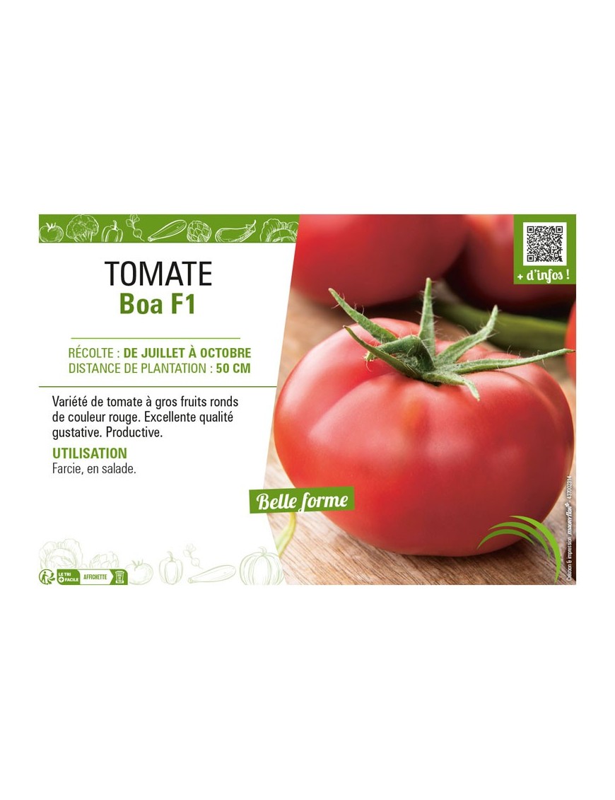 TOMATE BOA F1