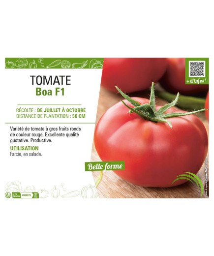 TOMATE BOA F1