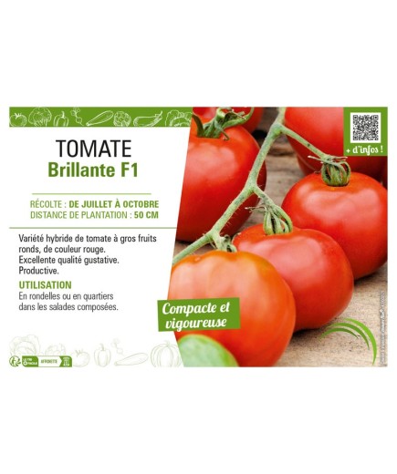 TOMATE BRILLANTE F1