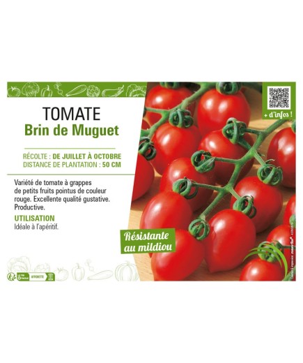 TOMATE BRIN DE MUGUET