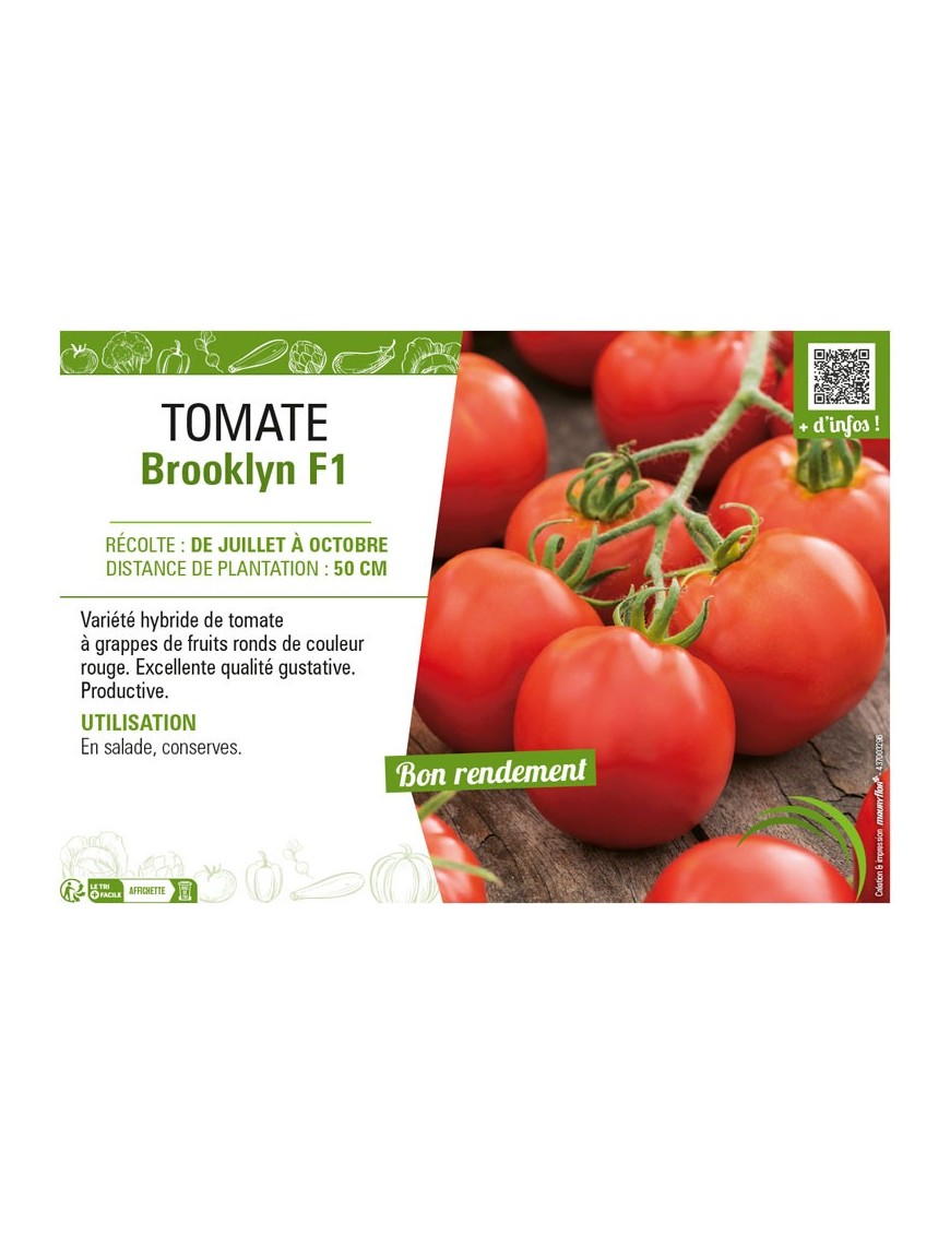 TOMATE BROOKLYN F1