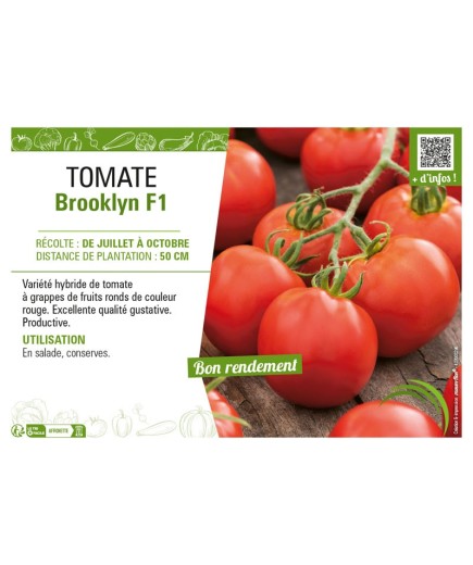 TOMATE BROOKLYN F1