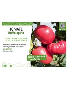 TOMATE BUFFALOPINK
