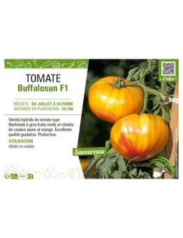 TOMATE BUFFALOSUN F1
