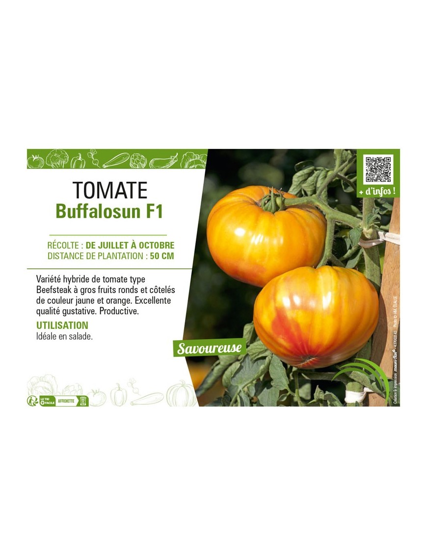 TOMATE BUFFALOSUN F1