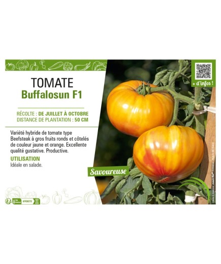 TOMATE BUFFALOSUN F1