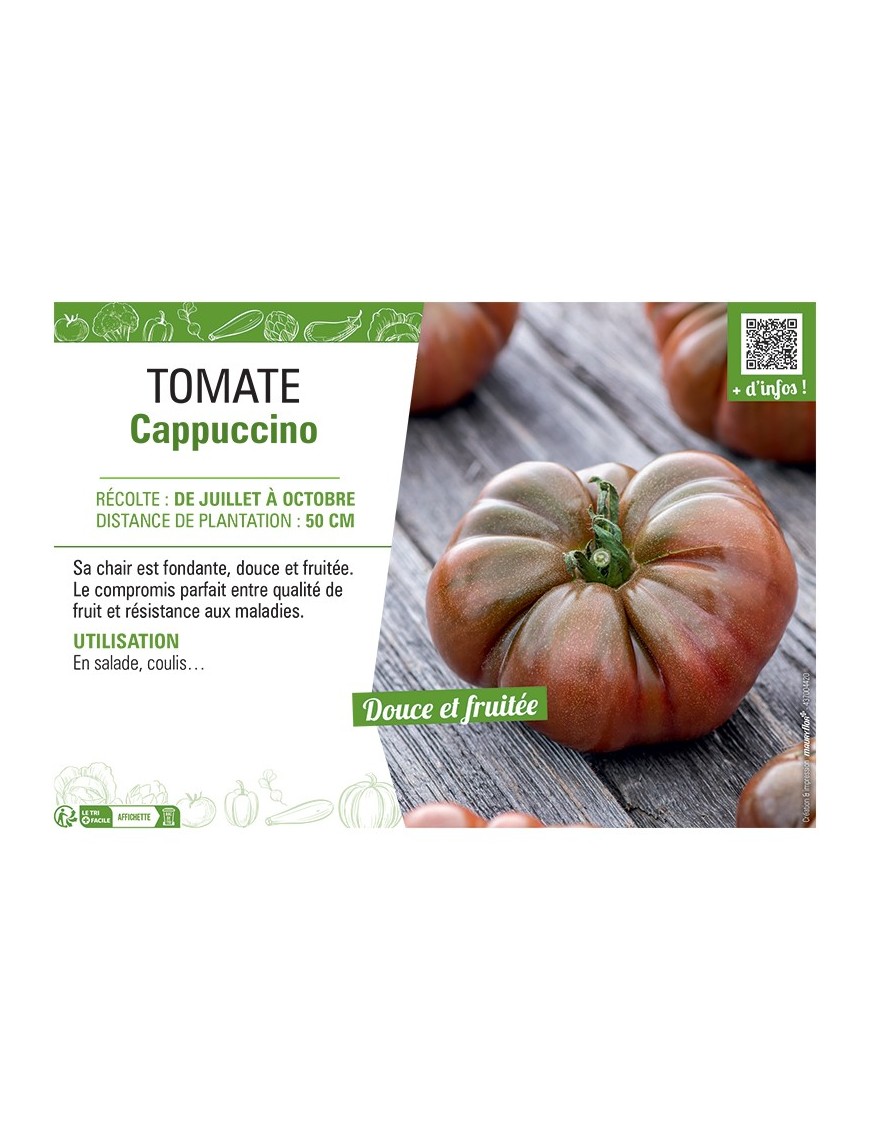 TOMATE CAPPUCINO
