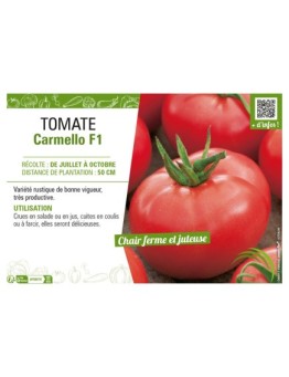 TOMATE CARMELLO F1