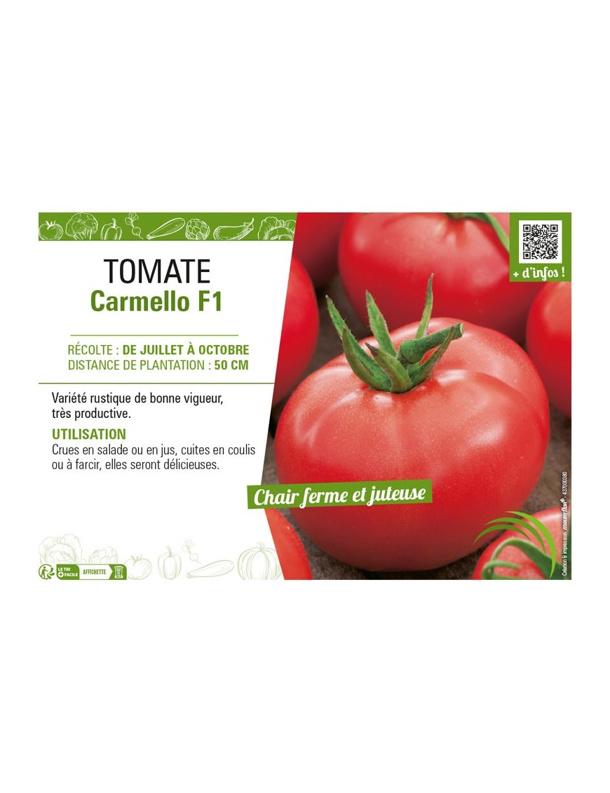 TOMATE CARMELLO F1