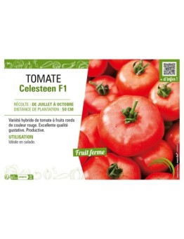 TOMATE CELESTEEN F1