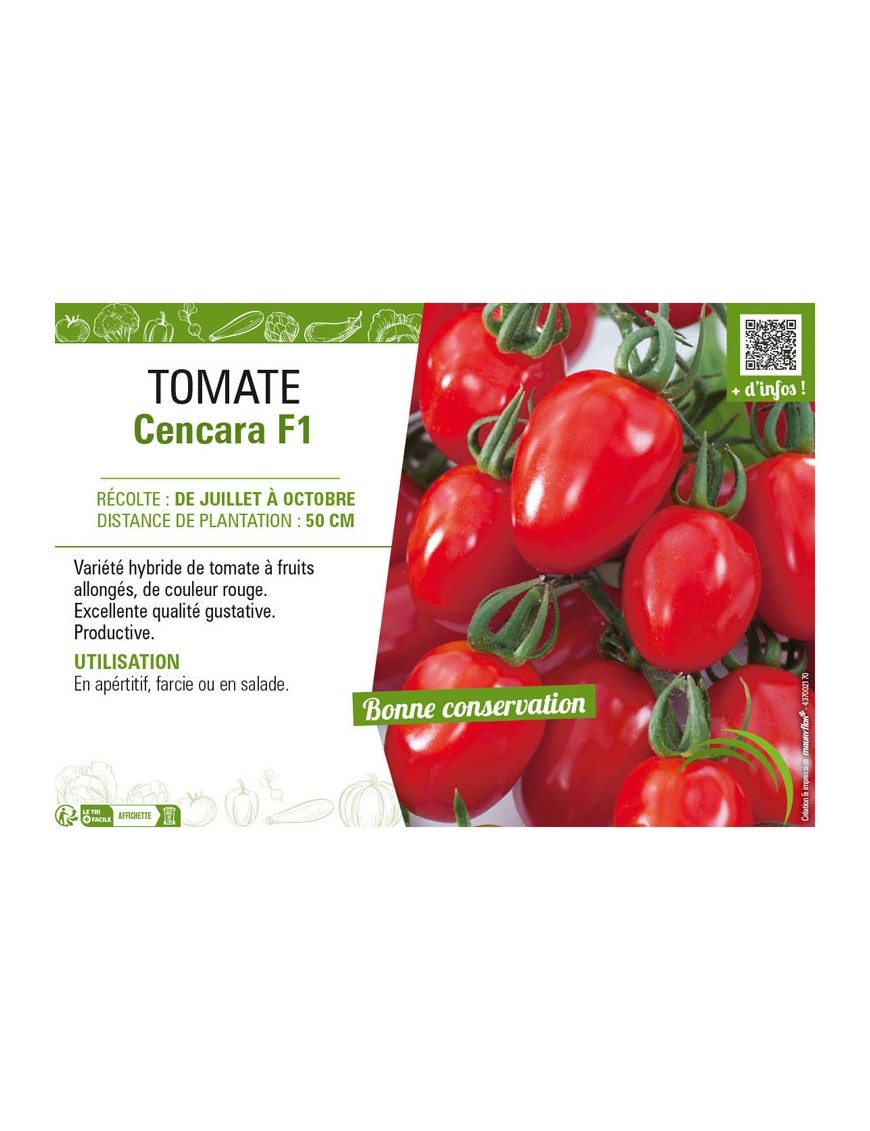 TOMATE CENCARA F1
