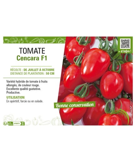 TOMATE CENCARA F1