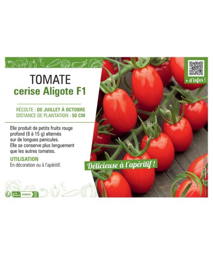 TOMATE CERISE ALIGOTE F1