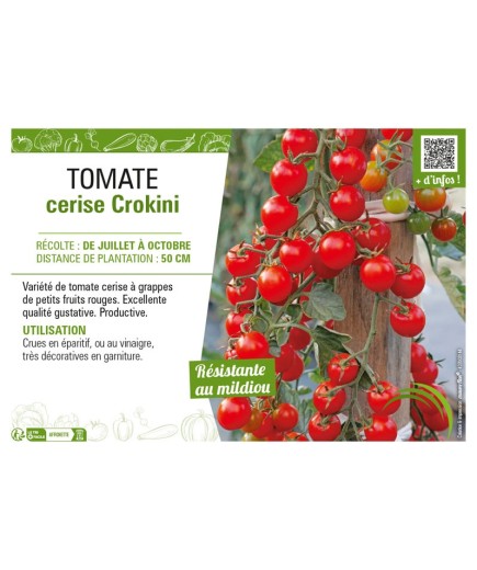 TOMATE CERISE CROKINI