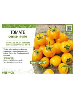 TOMATE CERISE JAUNE