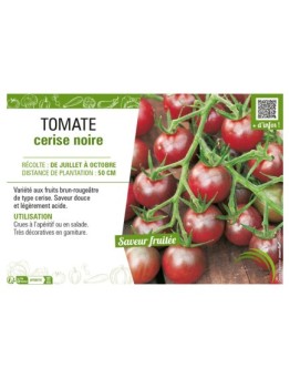 TOMATE CERISE NOIRE