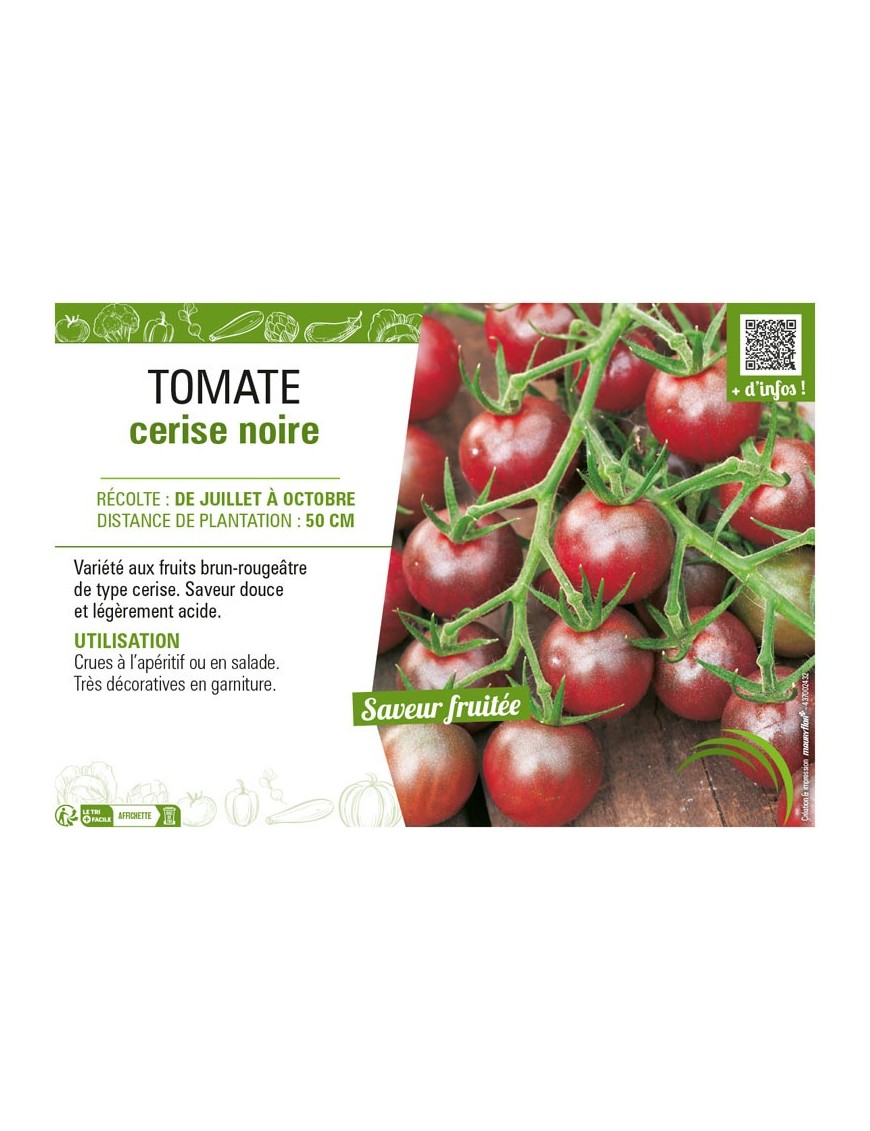 TOMATE CERISE NOIRE
