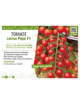 TOMATE CERISE PEPE F1