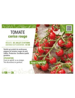 TOMATE CERISE ROUGE
