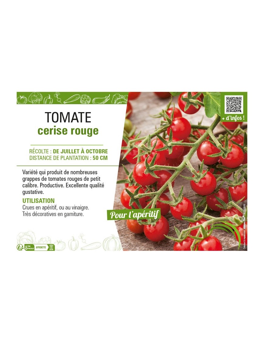 TOMATE CERISE ROUGE