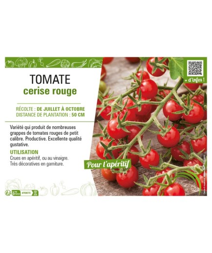 TOMATE CERISE ROUGE