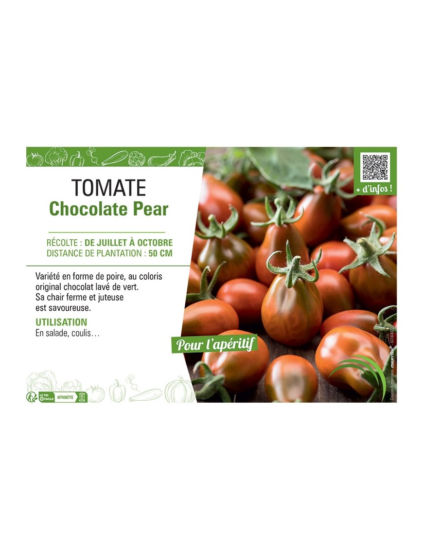 TOMATE CHOCOLATE PEAR