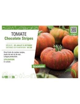 TOMATE CHOCOLATE Stripes