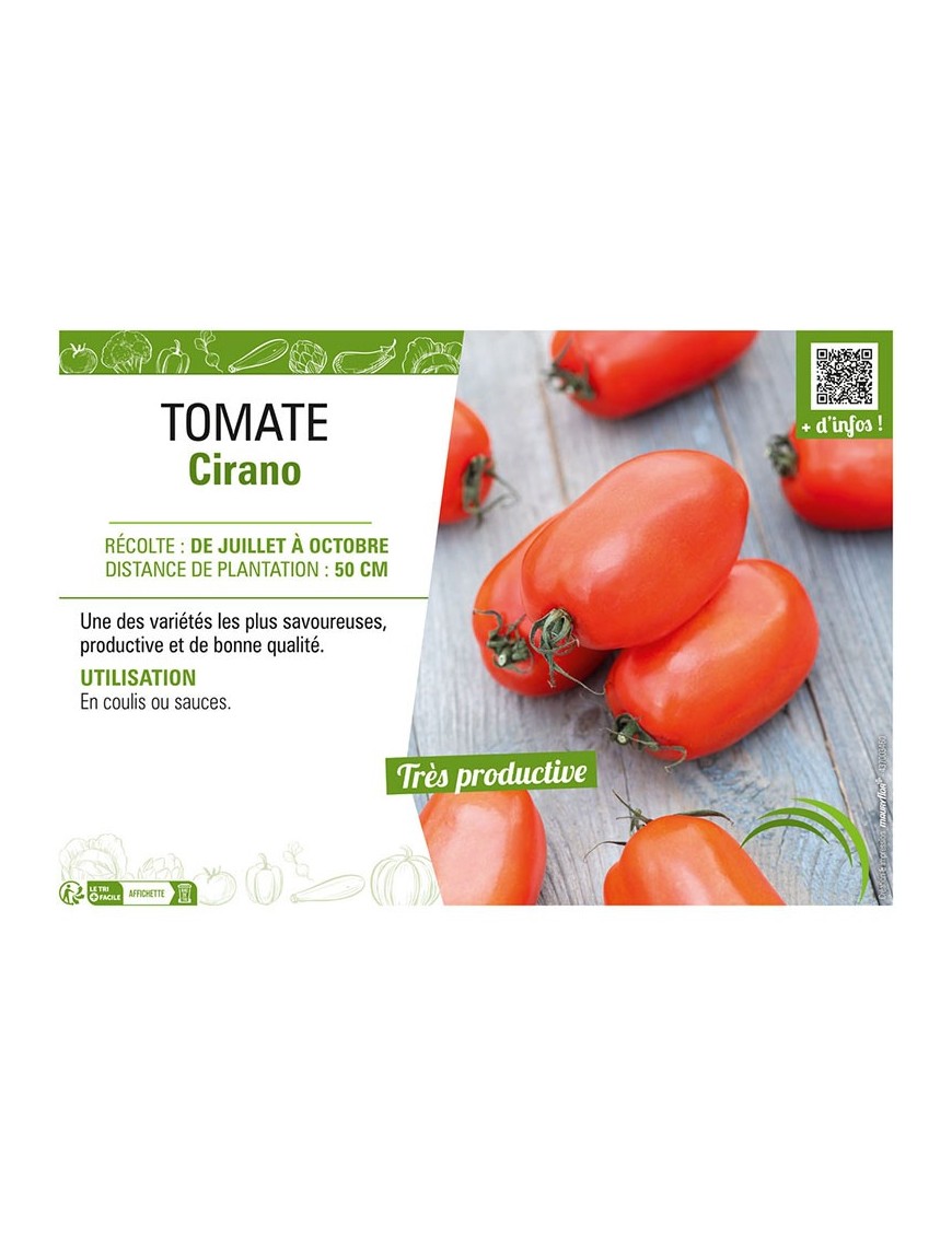 TOMATE CIRANO