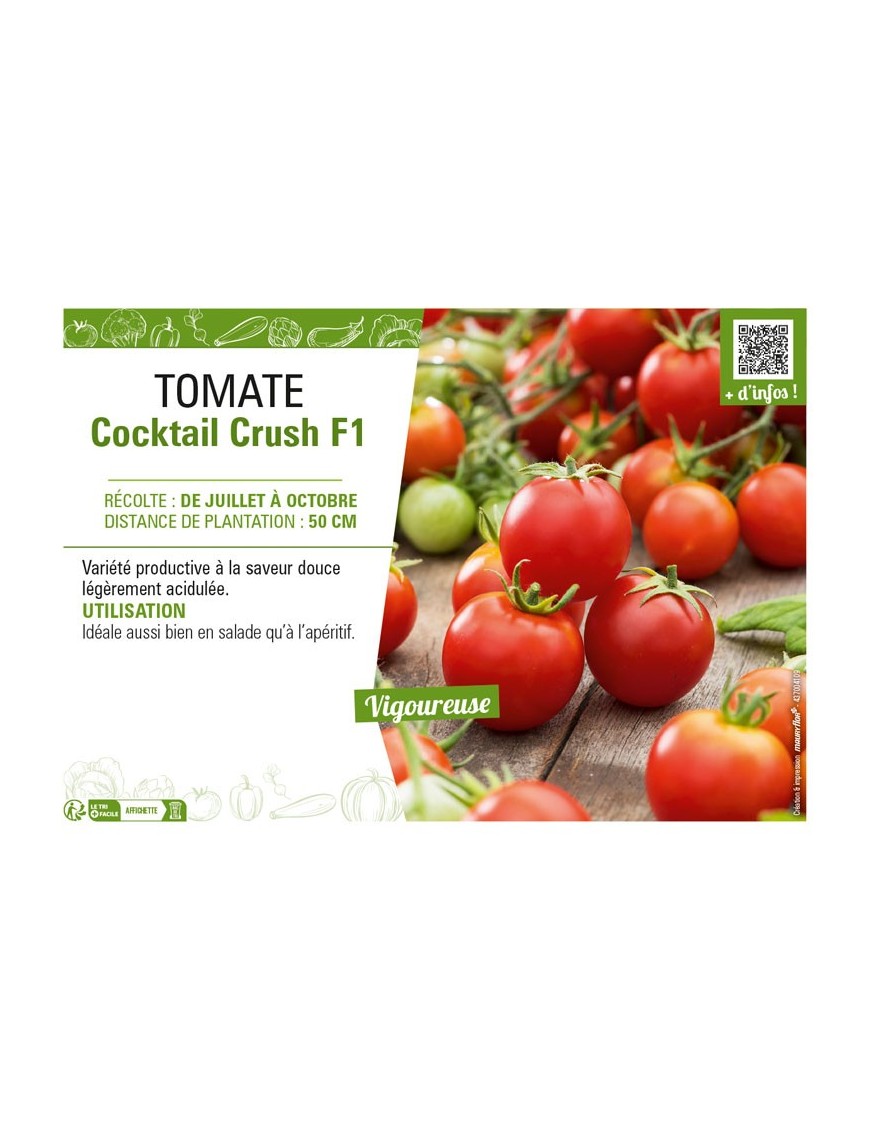 TOMATE COCKTAIL CRUSCH F1