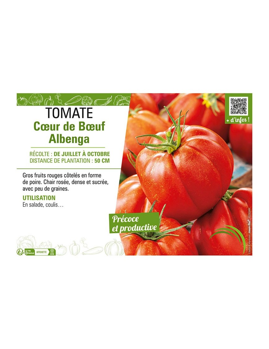 TOMATE CŒUR DE BŒUF ALBENGA