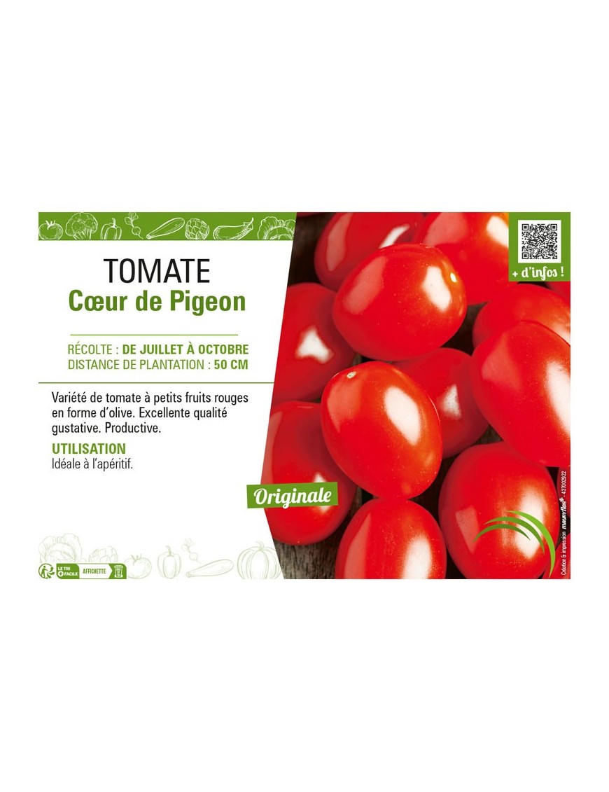 TOMATE CŒUR DE PIGEON