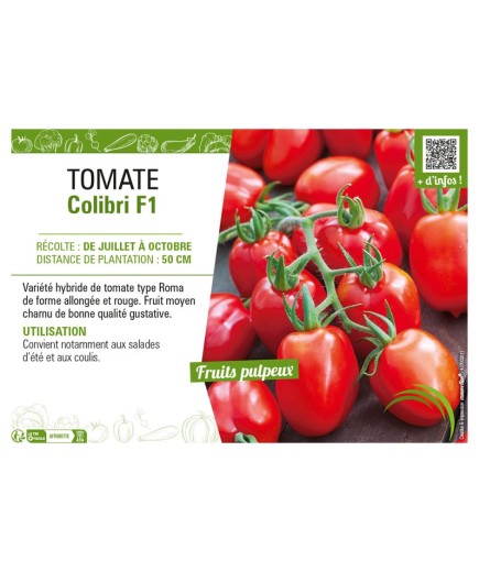 TOMATE COLIBRI F1