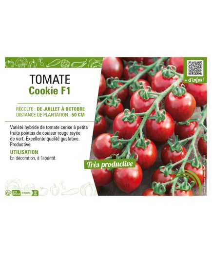 TOMATE COOKIE F1