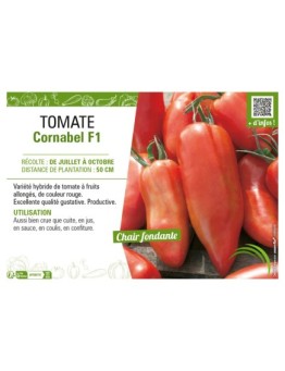 TOMATE CORNABEL F1