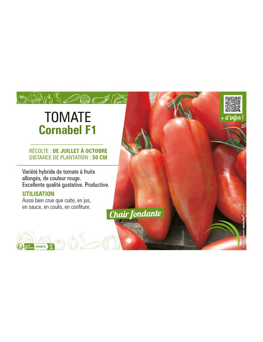 TOMATE CORNABEL F1
