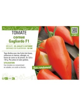 TOMATE CORNUE GAGLIARDO F1