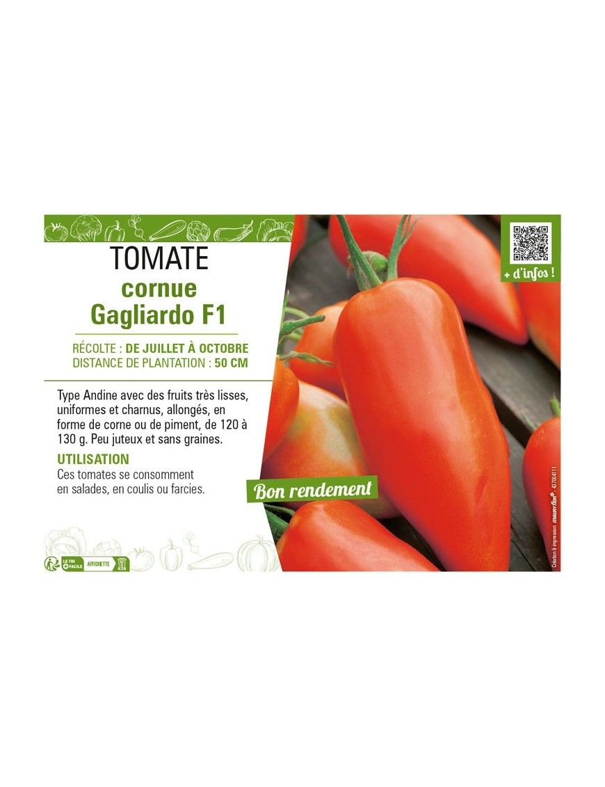 TOMATE CORNUE GAGLIARDO F1