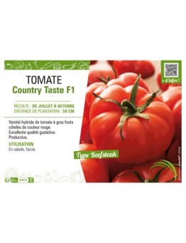 TOMATE COUNTRY TASTE F1